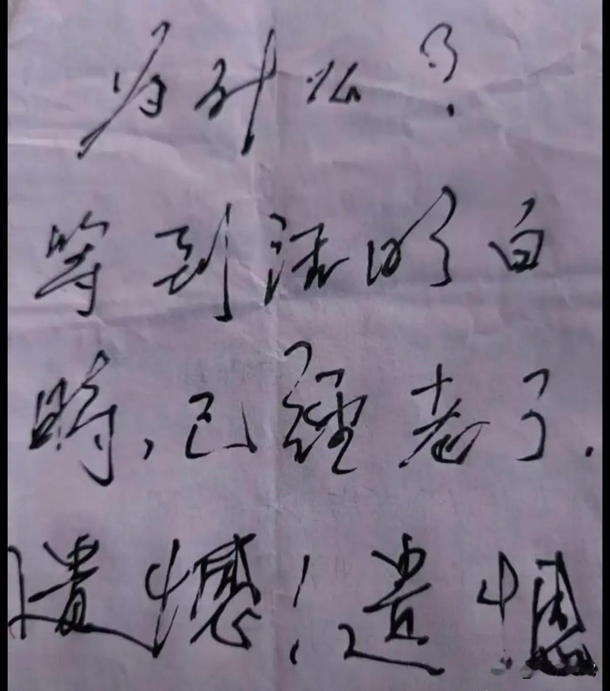 爷爷的一篇日记，字体清雅美观，内容却充满无奈和遗憾