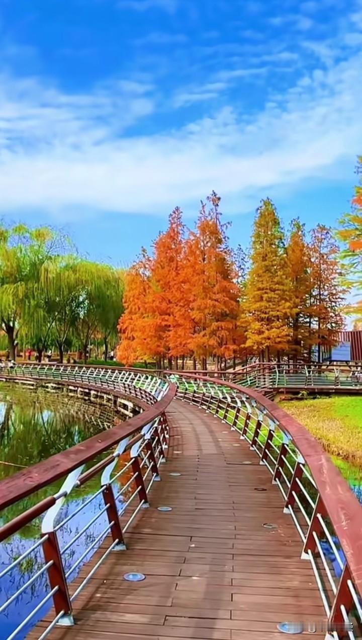 有人说，外国的月亮比中国圆，但看看郑州立冬季节的北龙湖畔，不比任何国家的此时风景