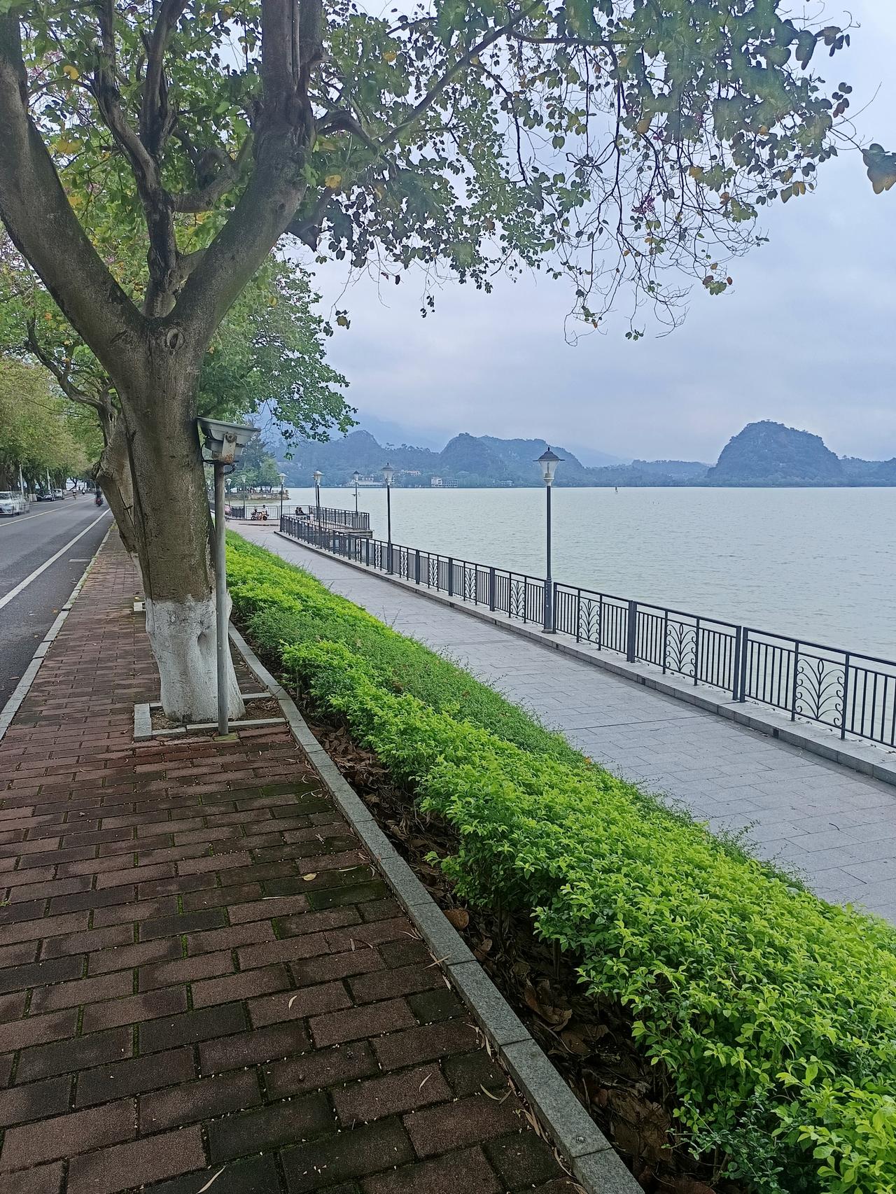 我终于知道了
虽然肇庆市有两个5a级风景区
过了五一之后，却依然没有什么人来
