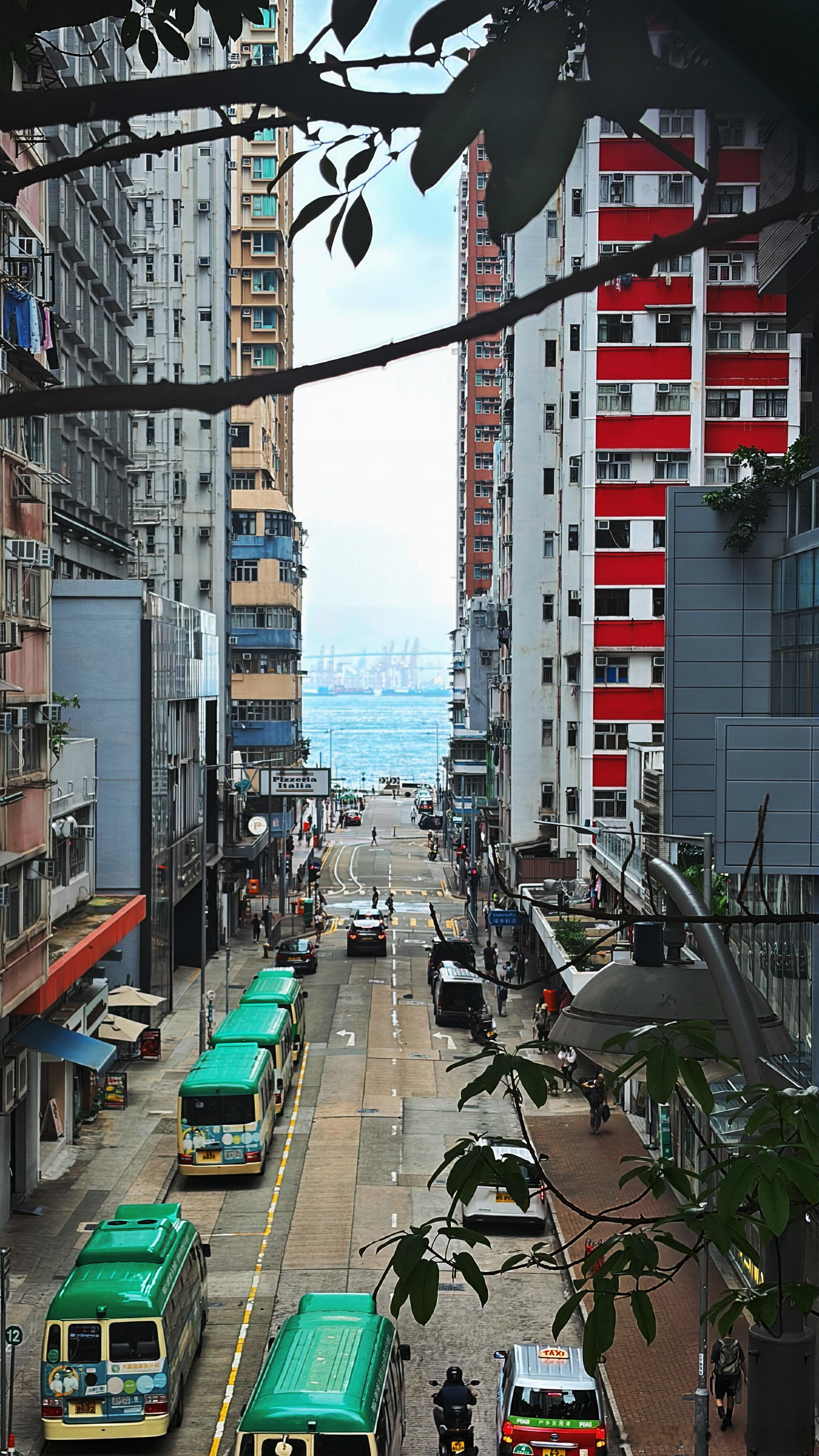 捞完一张就跑的我。你问为啥有树叶，我说你去走一趟就知道…… 