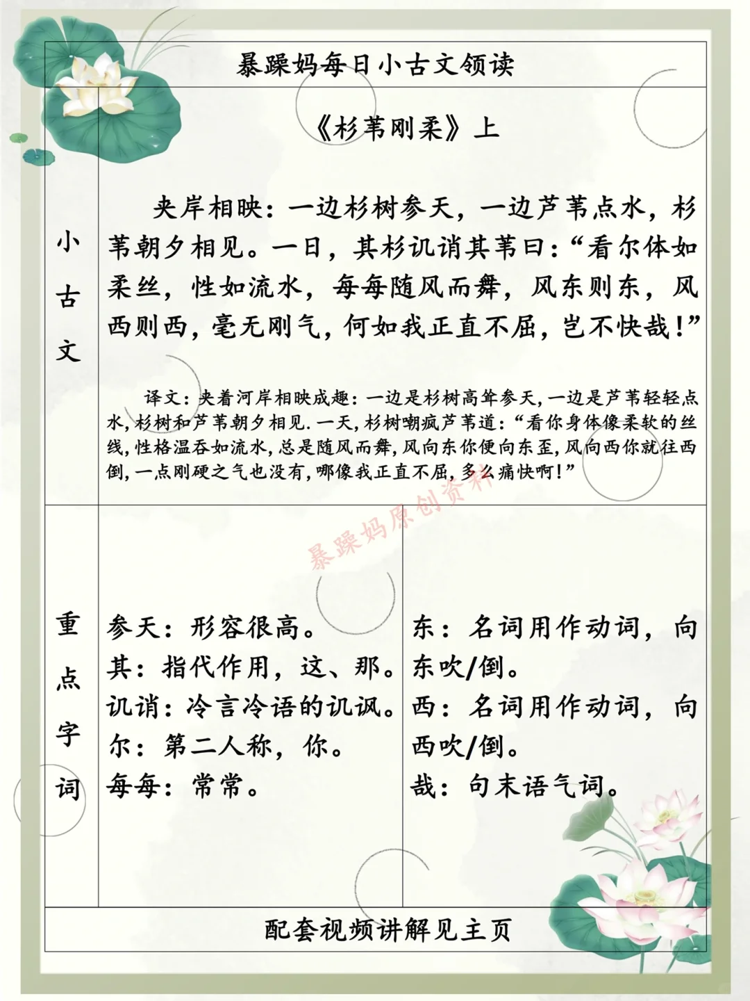 小古文《杉苇刚柔》讲义和练习