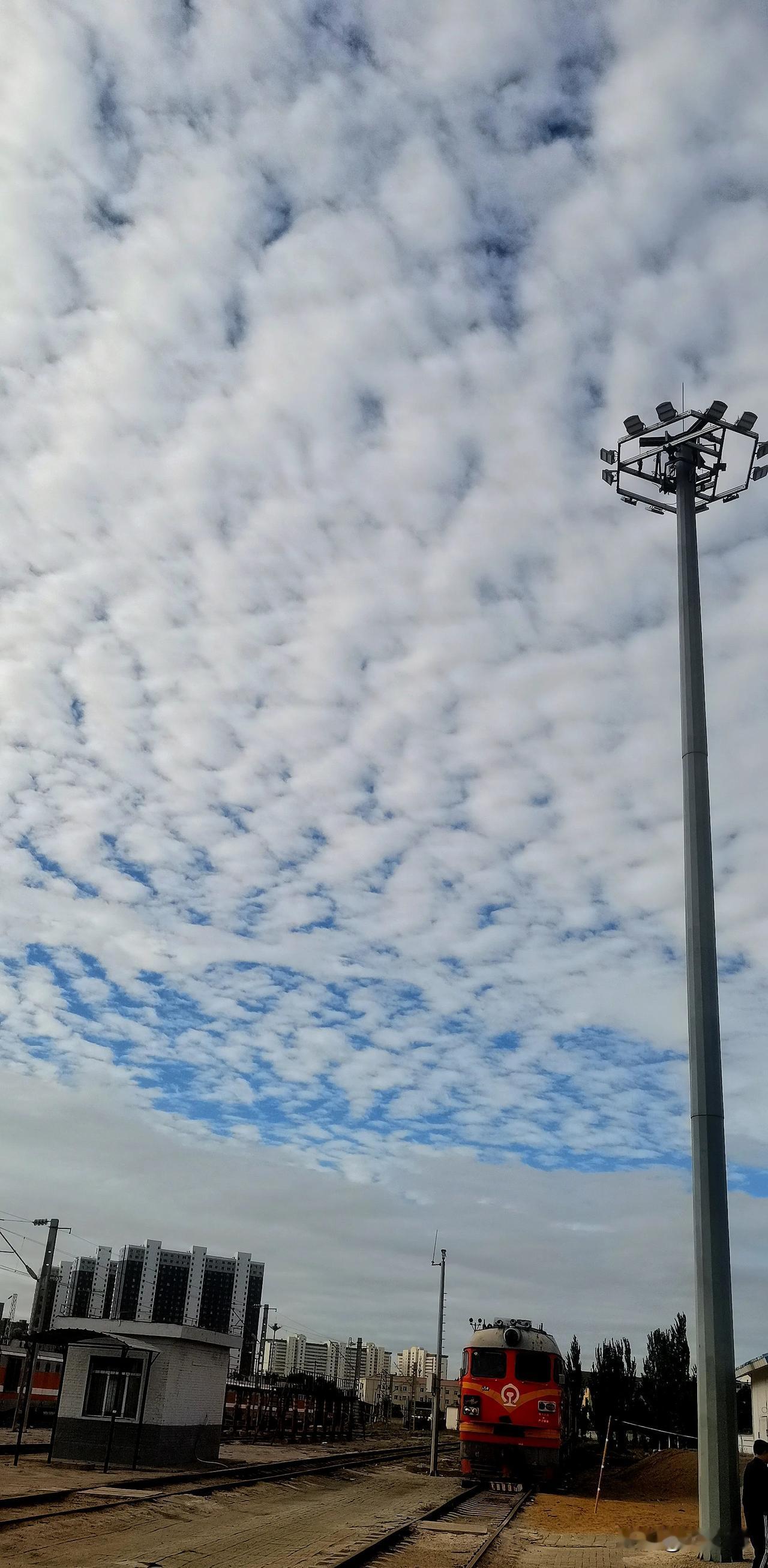 镜头记录生活 秋意凉凉
（首发原创）
今天一出门 体感指数很低 加上小风嗖嗖的刮