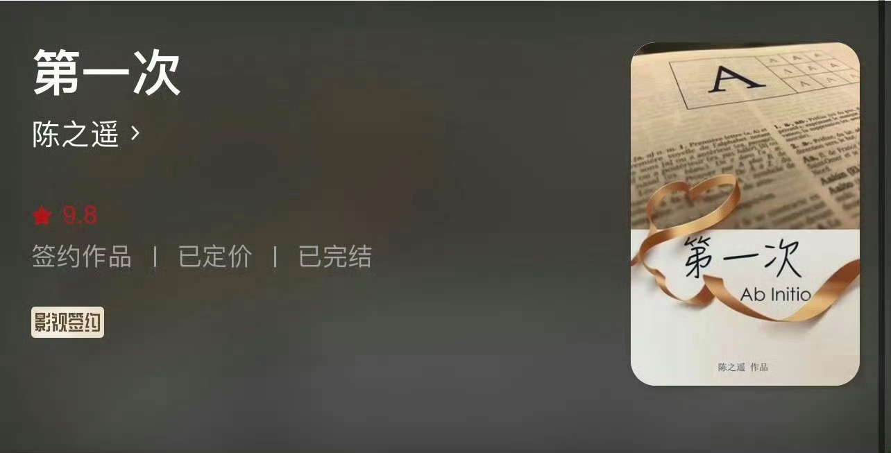 小说推荐：《第一次》 作者:陈之遥简评：漂亮独立女律师vs痞帅深情男律师，男强女