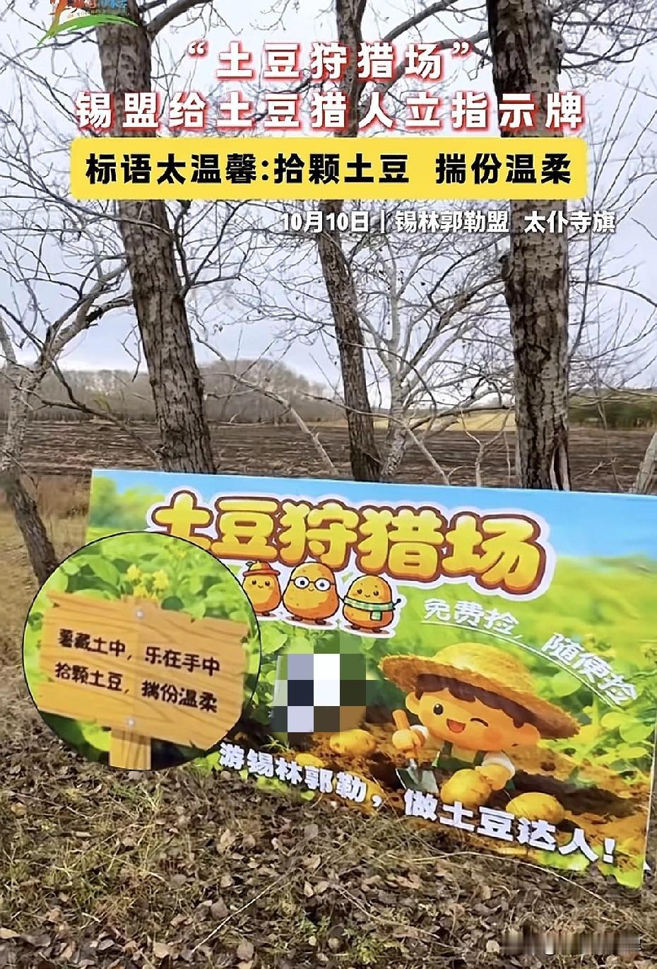 内蒙古还是太会冲浪了！锡林郭勒盟文旅直接安排了“土豆”狩猎场，告知路线以及免费挖