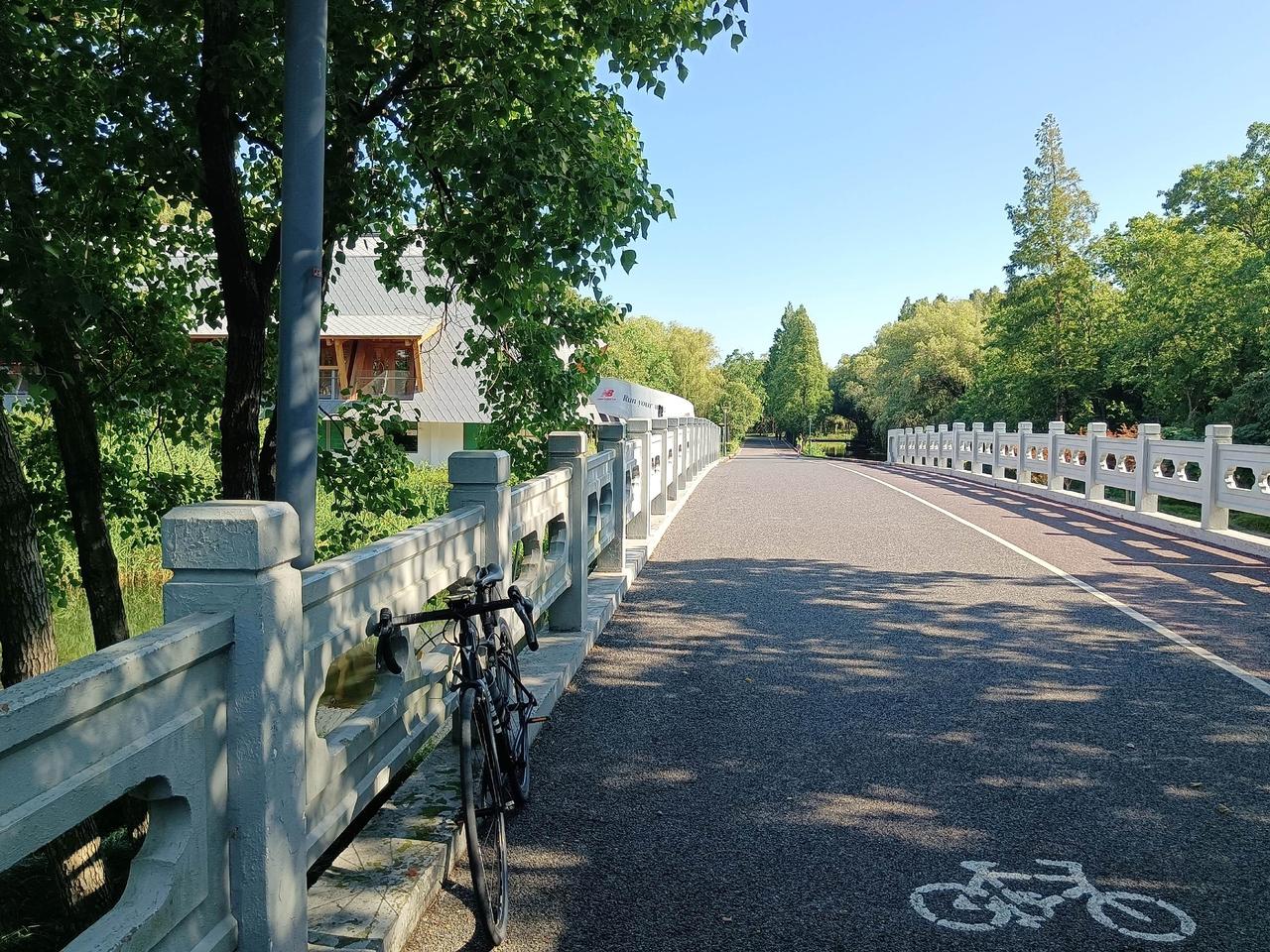公路自行车 上海骑行