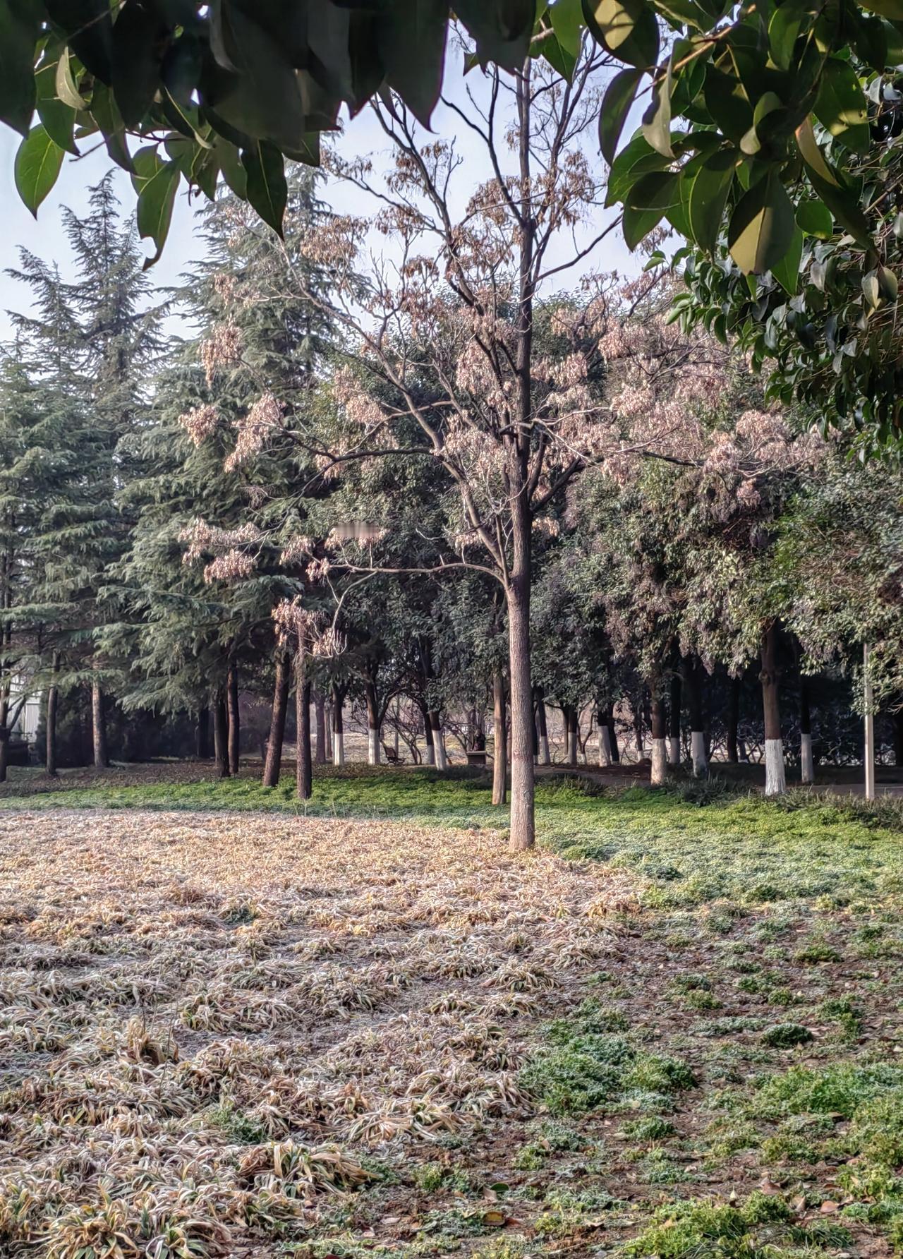 李自成屠杀吴襄全家，是典型的狭隘残暴行为。
逼吴襄写劝降信，吴襄写了，吴三桂也准