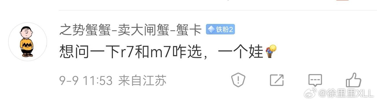 R7和M7很好选啊。纯电就选R7，增程就选M7。因为对于纯电车型来说，续航就是命