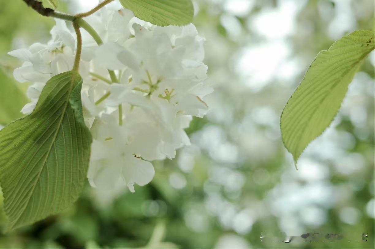 今天周末，也是5月最后的一天。时间真不经过，一晃，2026年只剩下7个月的时间。