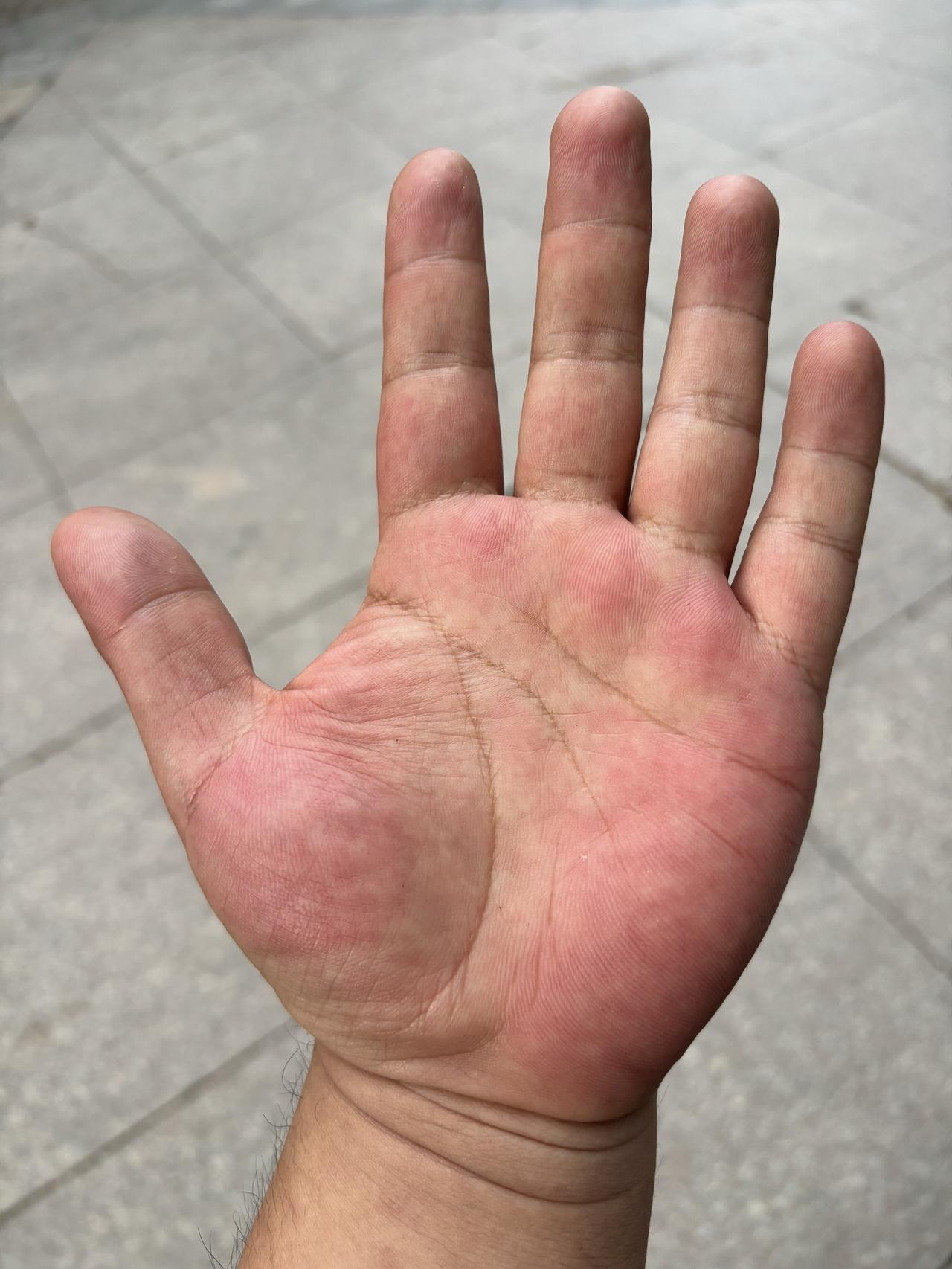 有懂的吗