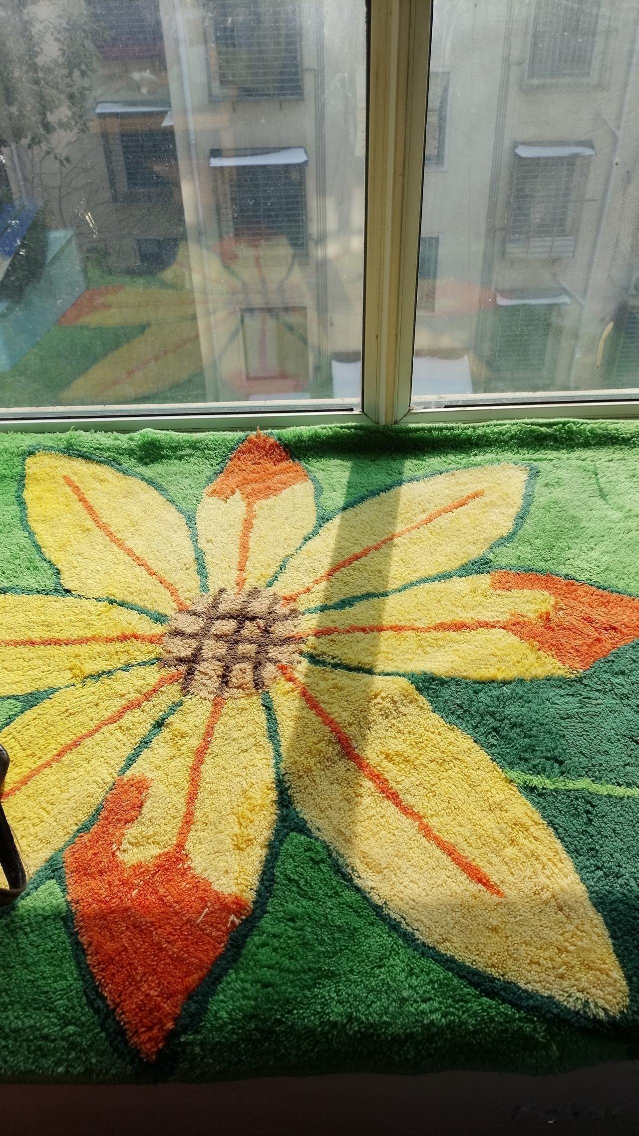 大太阳与雪并存，今日襄阳化雪。在家困了三四天了