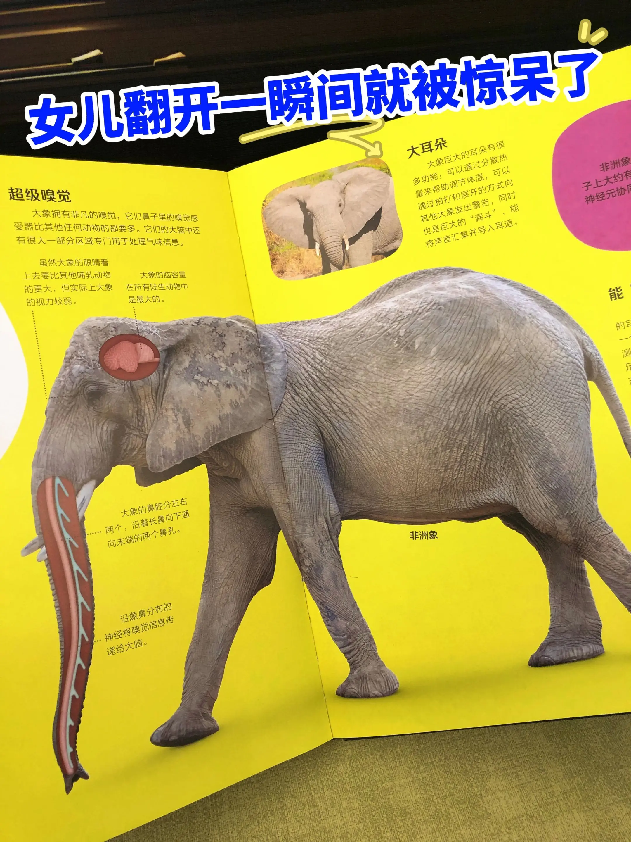 不愧是由中国科学院动物研究所国家动物博物馆领街创作，通过透视眼的独特视...