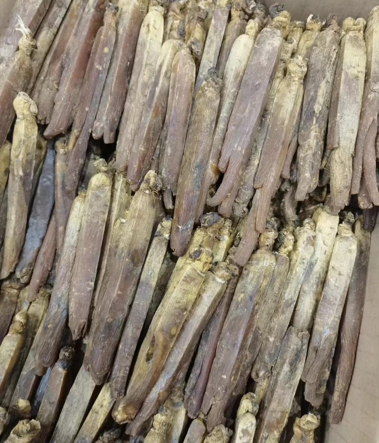 深圳女房东打扫退房，
前租客退租后去打扫房间，
准备收拾干净再出租，结果一翻床底