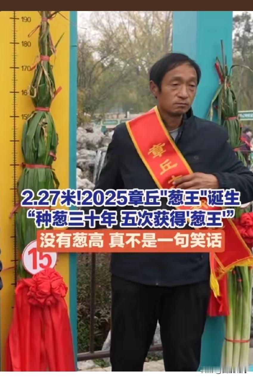 离谱！章丘葱王长到2.27米，比成年男子还高半头，这是成精了？
 
2025章丘