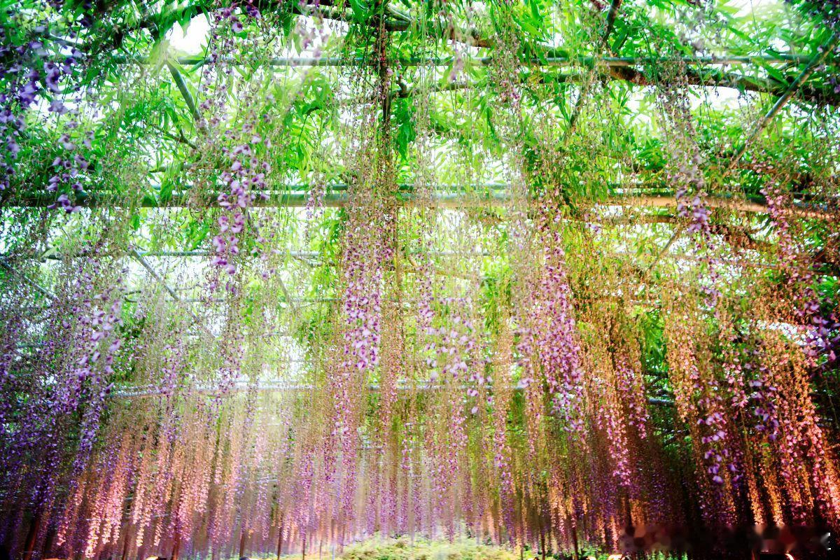 【科技型企业股权激励的“铁三角”逻辑】核心观点：科技型企业的股权激励，核心在于构