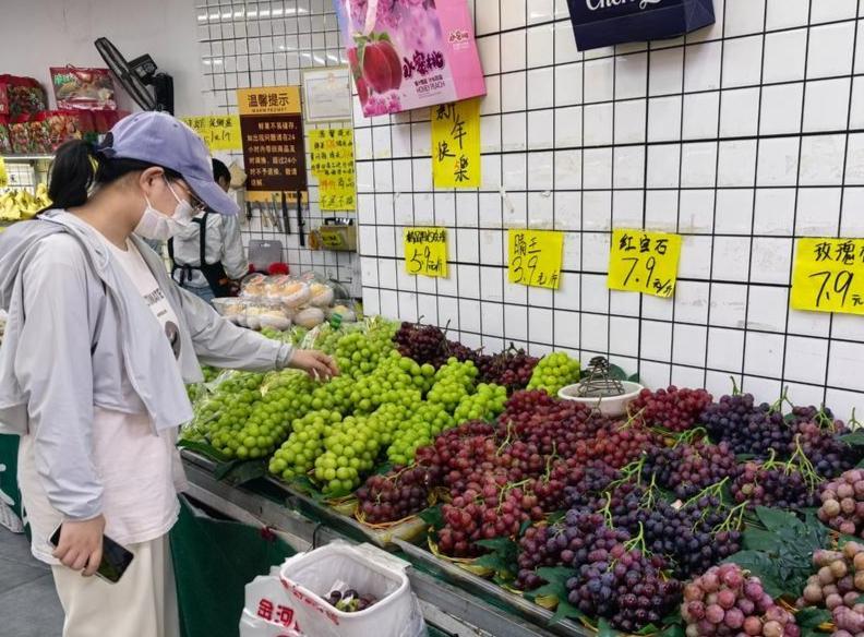 近年来，阳光玫瑰的价格一直“跌跌不休”。从当初30元一斤跌到现在的3元一斤，不少