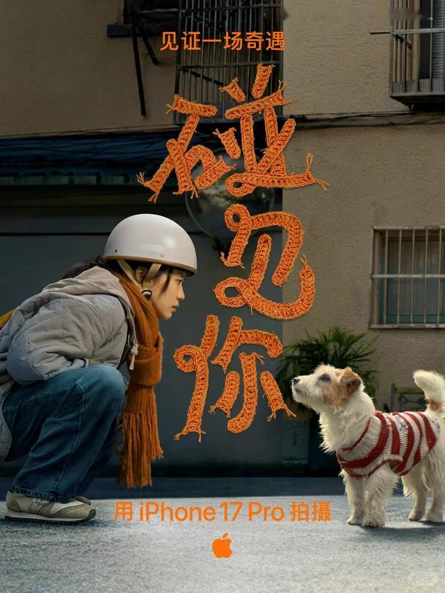 - 2018 狗年《三分钟》，用 iPhone X 拍摄- 2019 猪年《一个