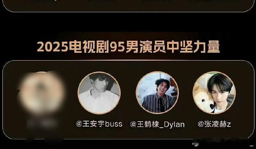 2025电视剧95生中坚力量：王安宇，王鹤棣，张凌赫 ​​​