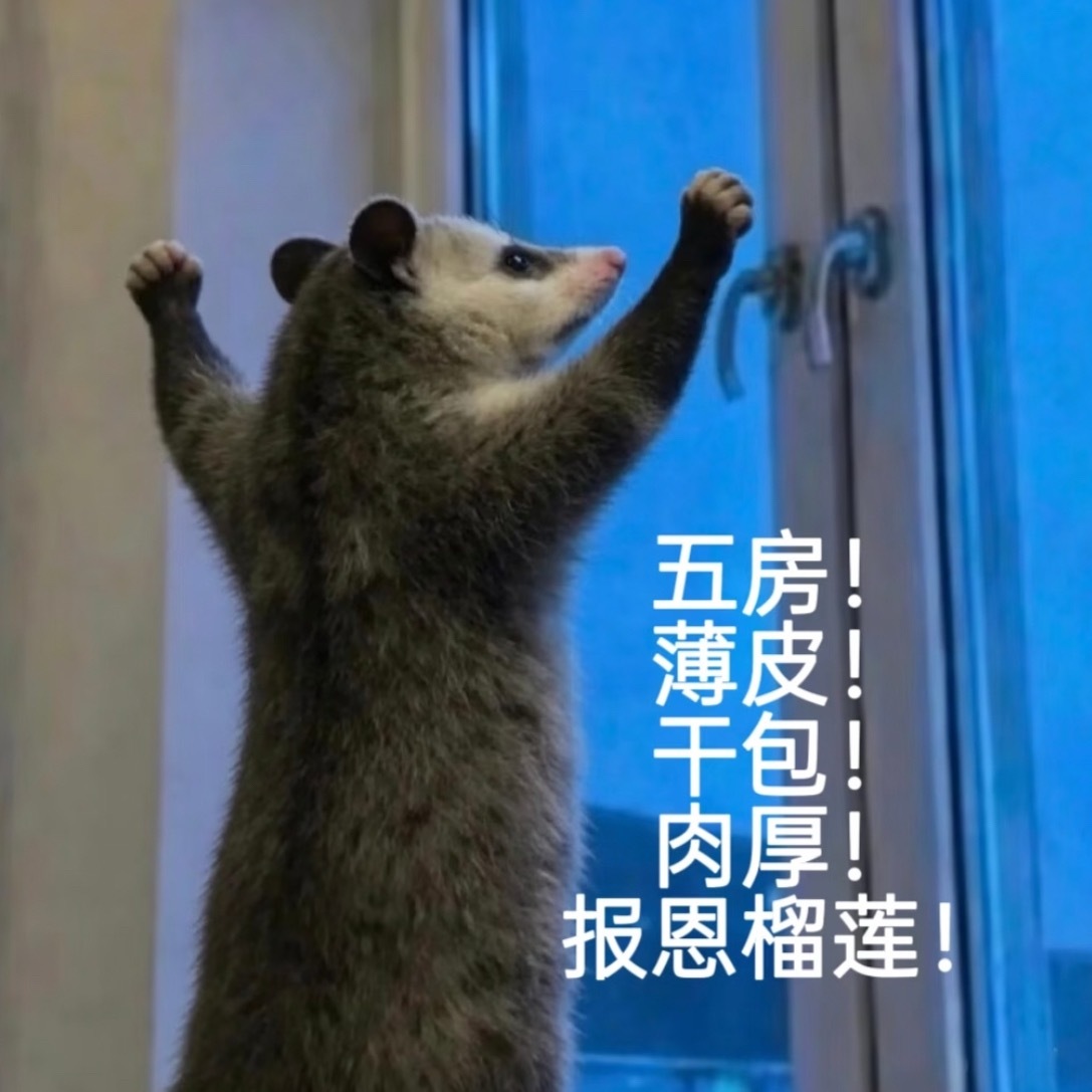 开榴莲真的跟开盲盒一样，报恩还是报仇开壳决定！大家有没有开到过完美的榴莲？世界上