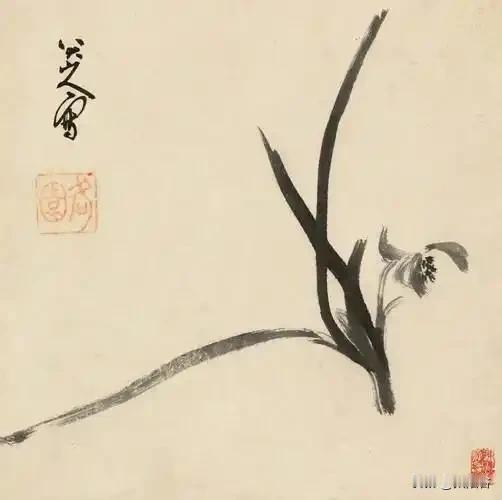 《墨兰的浮香》
七十二岁的我指尖蹭过八大山人纪念馆展柜的冷玻璃时，刚好接住暮风吹