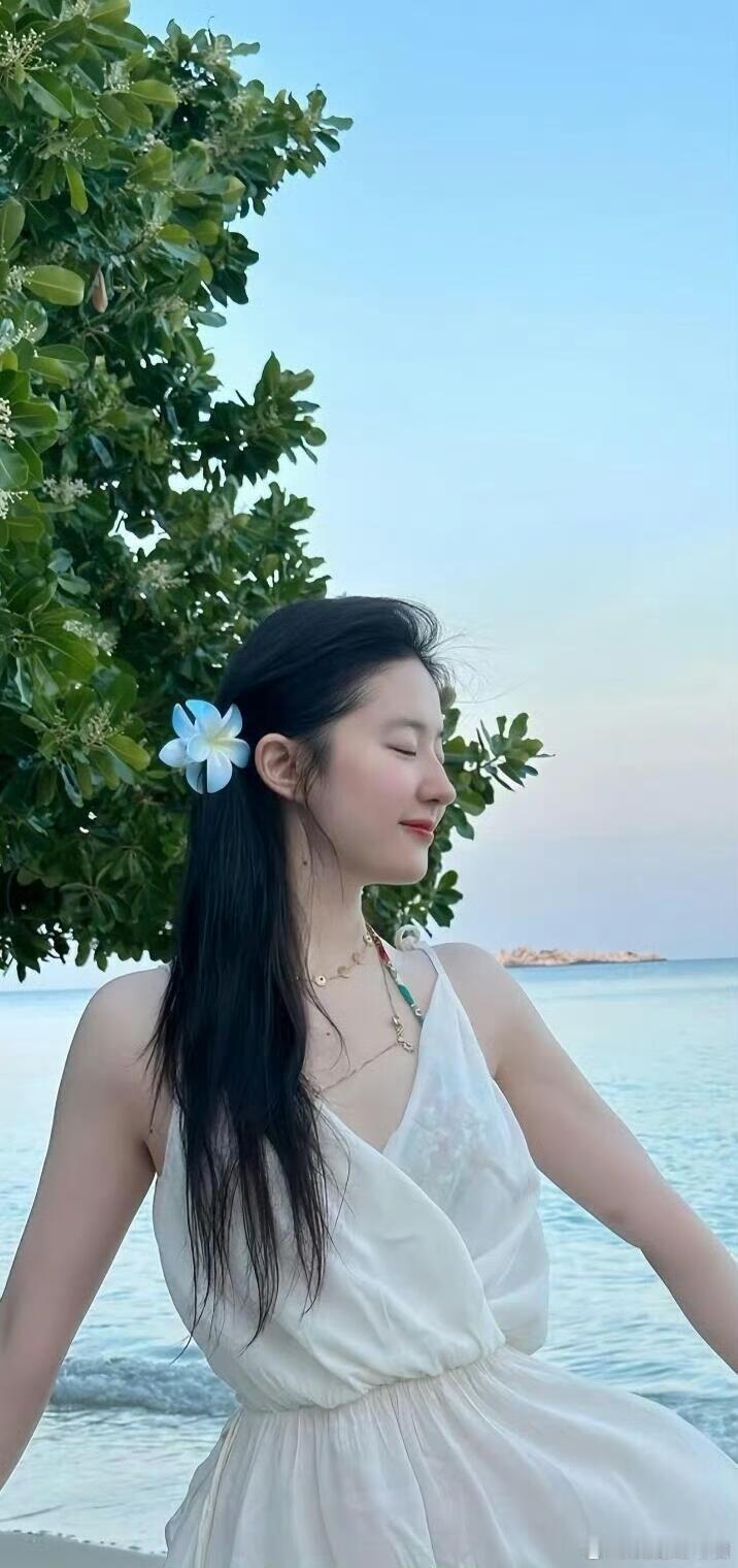 抬头是玉，低头是光，赵灵儿、小龙女巾帼英雄花木兰、赵盼儿都充满了灵性，这样的刘亦