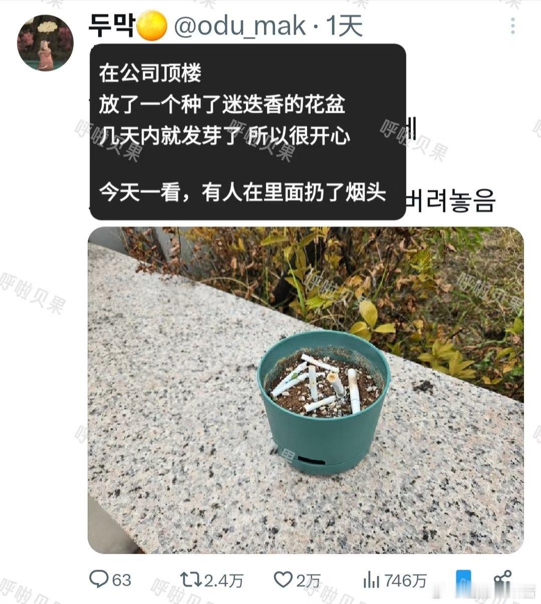 缺德。 ​​​