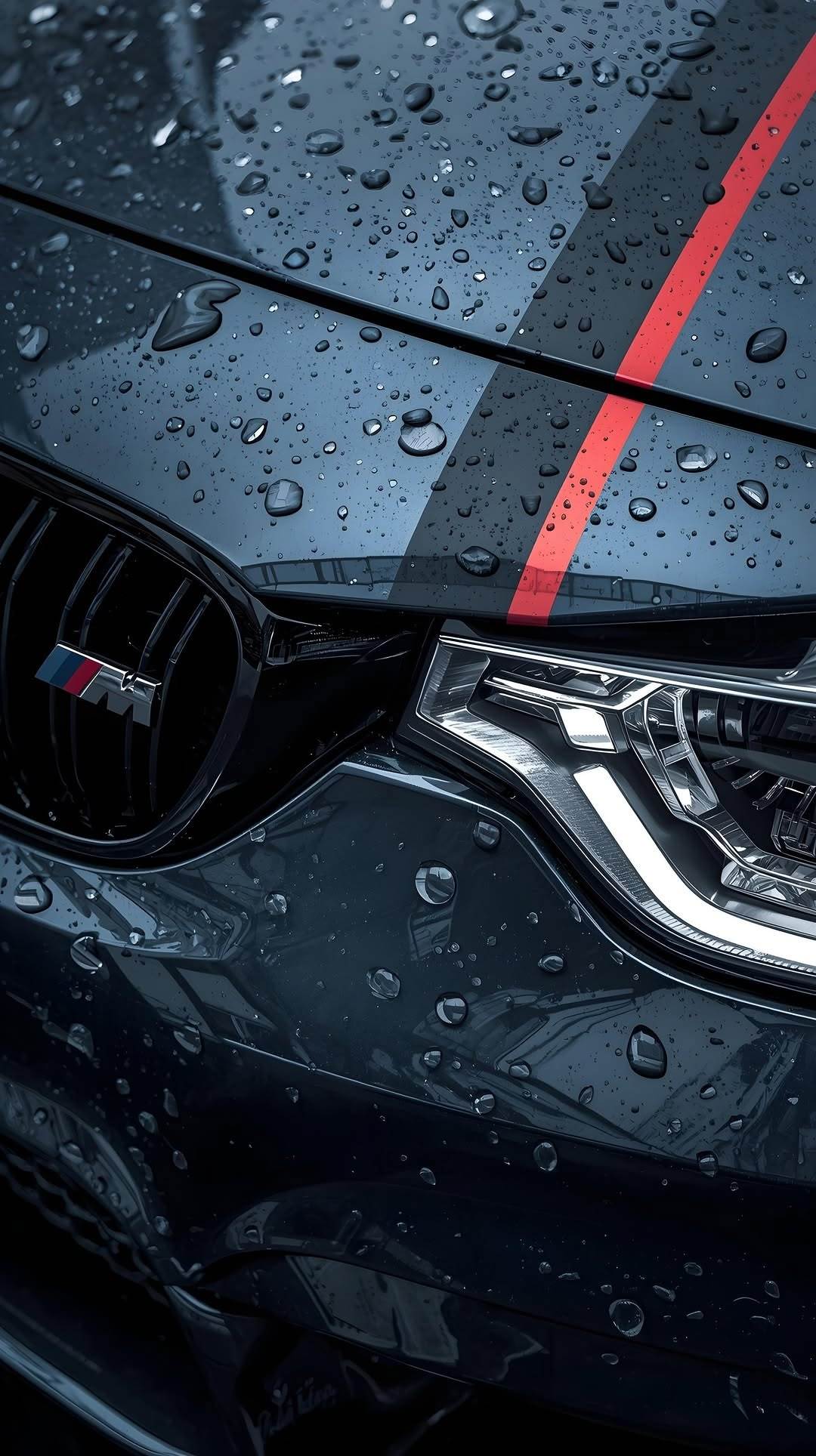 早！bimmer[太阳]手机壁纸 ​​​