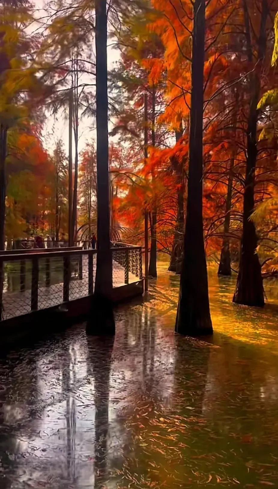 秋日漫步，红叶如火，水中倒影，美不胜收。🍂🍁🍂杭州青山湖油画般的世界。深秋