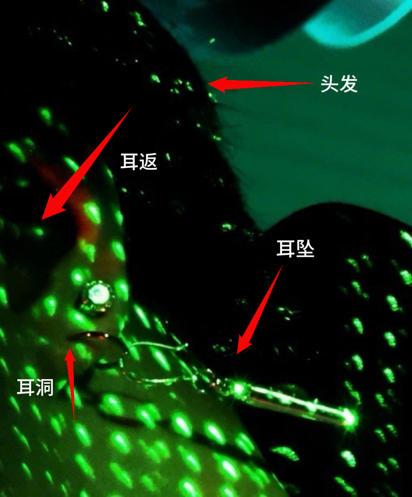 卧槽呀看了我半天。 