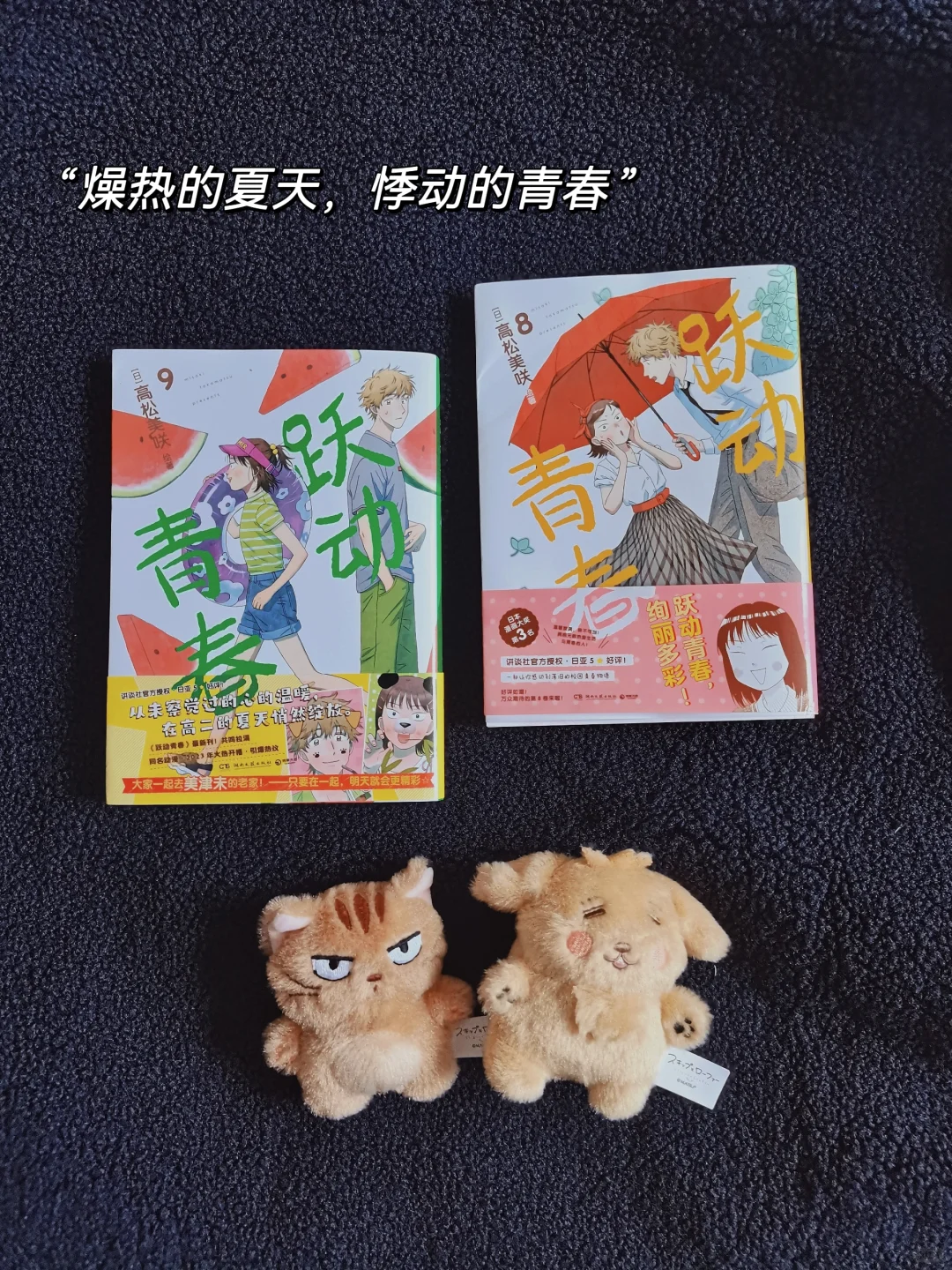 跃动青春7-9首刷完美，我圆满了！