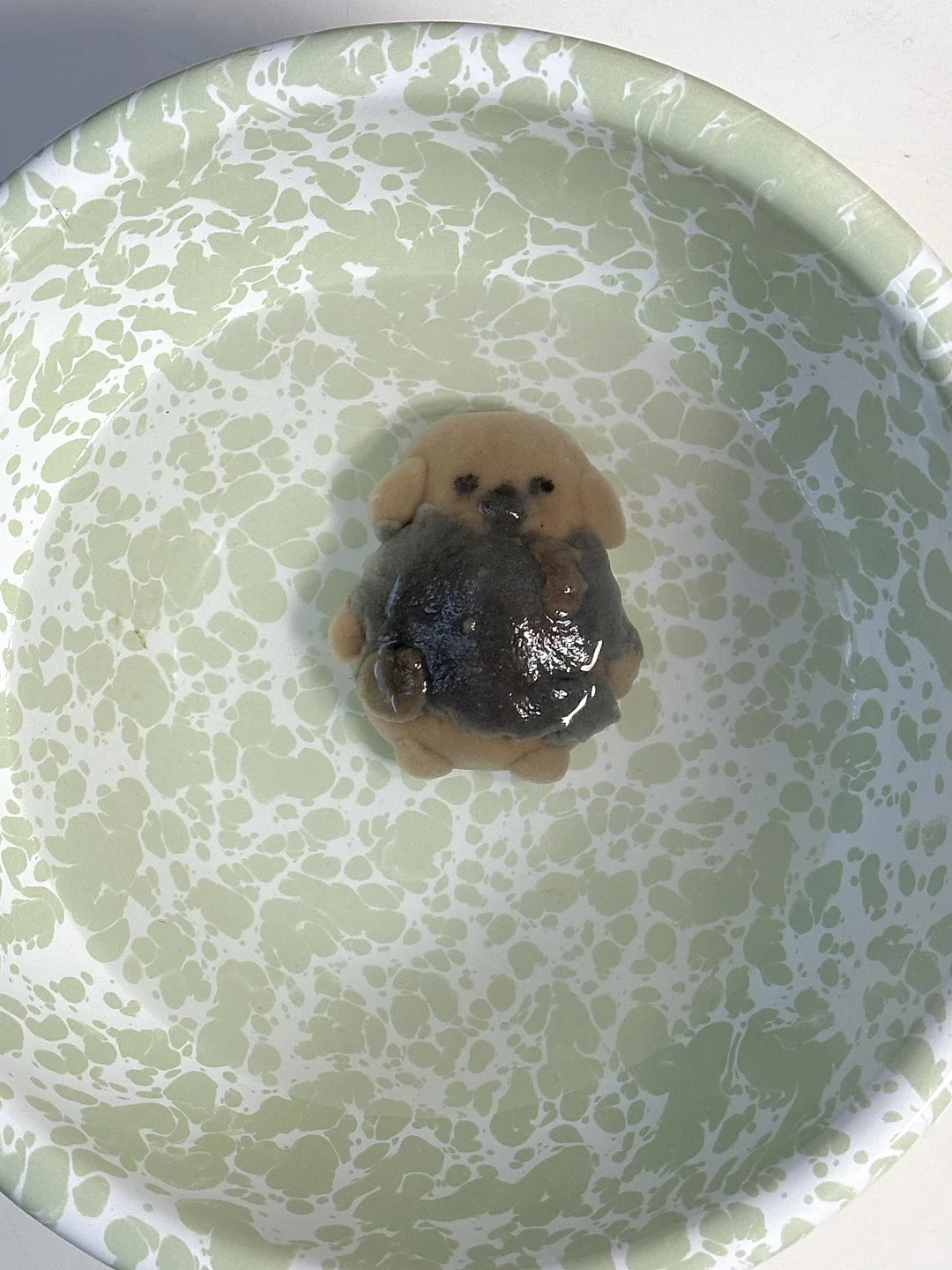 蘸酱狗汤圆