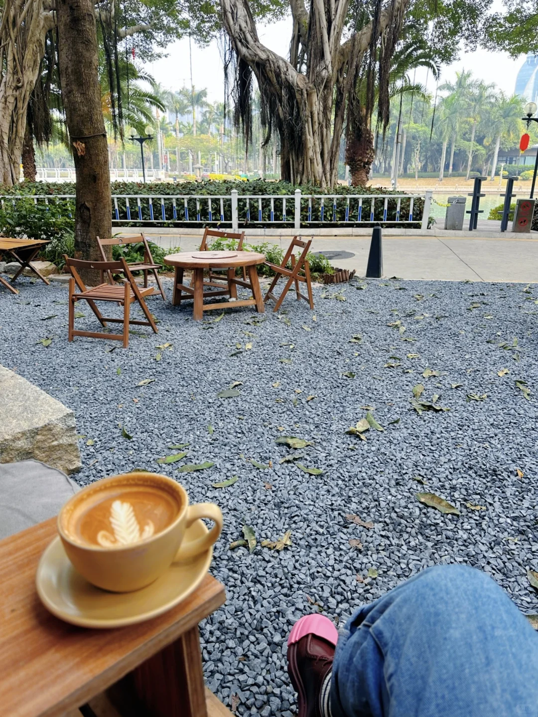 厦门新开的，漂亮又chill的咖啡店☕