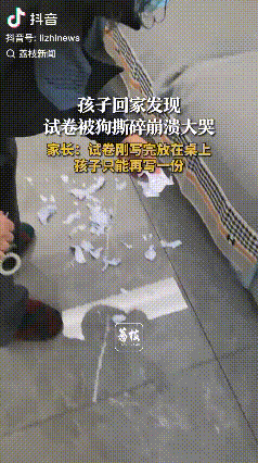真实发生了！浙江杭州，孩子把试卷写完放在桌子上然后和父母一起出去吃饭，结果回到家