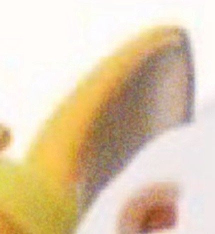 种植  1200雪梨的种植方法🍐：一、园地选择。雪梨的园林要选择在土层深厚，土