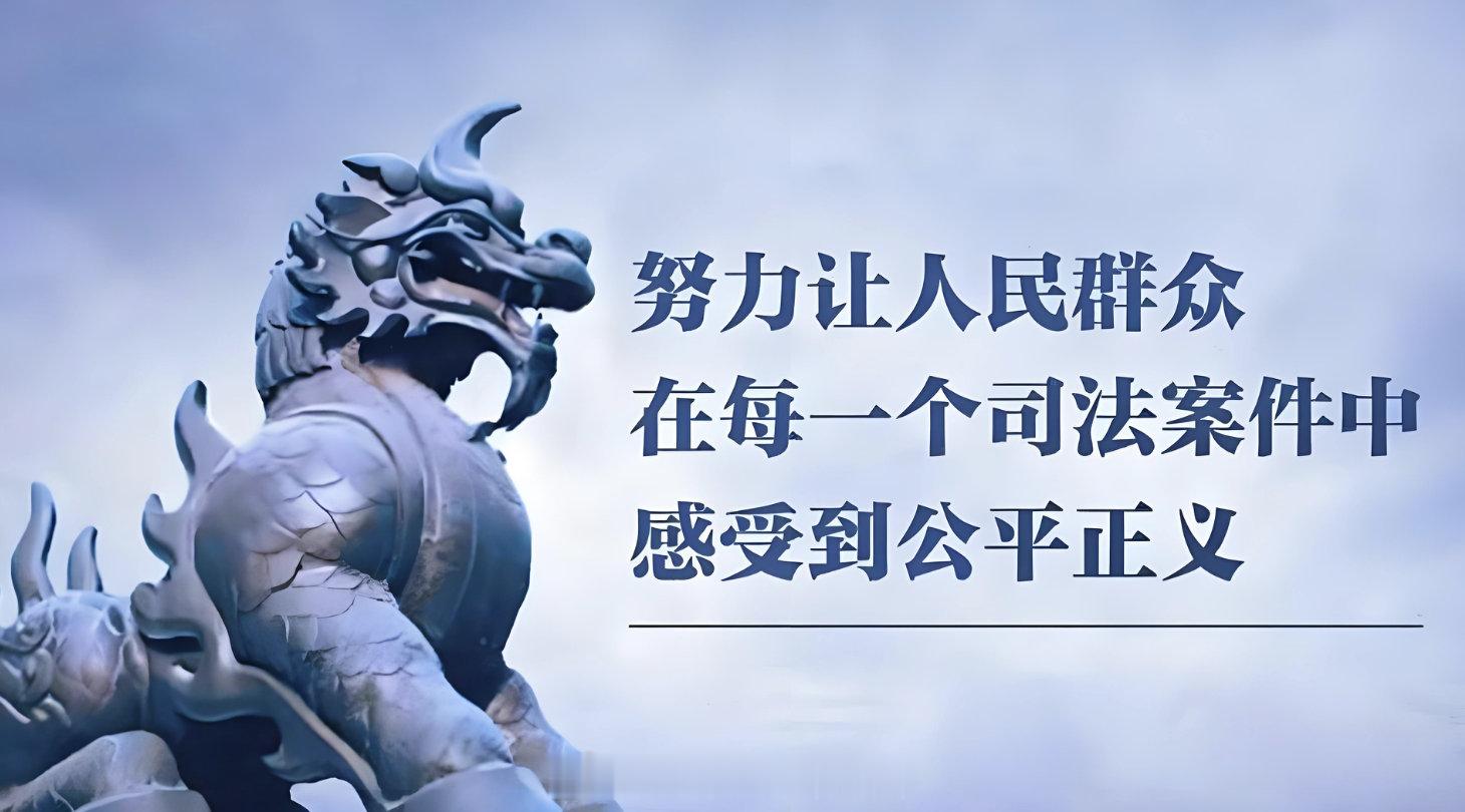 宋清辉案 市场经济的本质在于法律面前人人平等，而非给予特定群体如企业家超脱于规则
