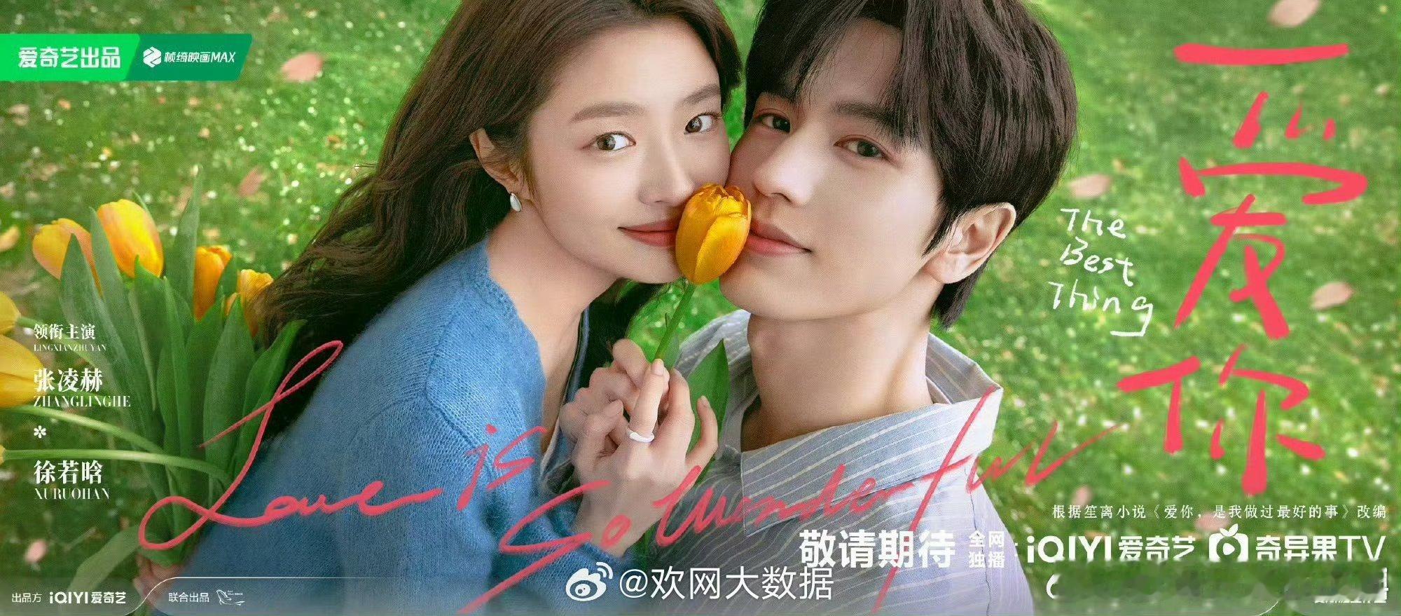 恭喜🎉🎉🎉张凌赫爱你成为爱奇艺海外2025年度表现最佳现代偶像剧❗同时张凌