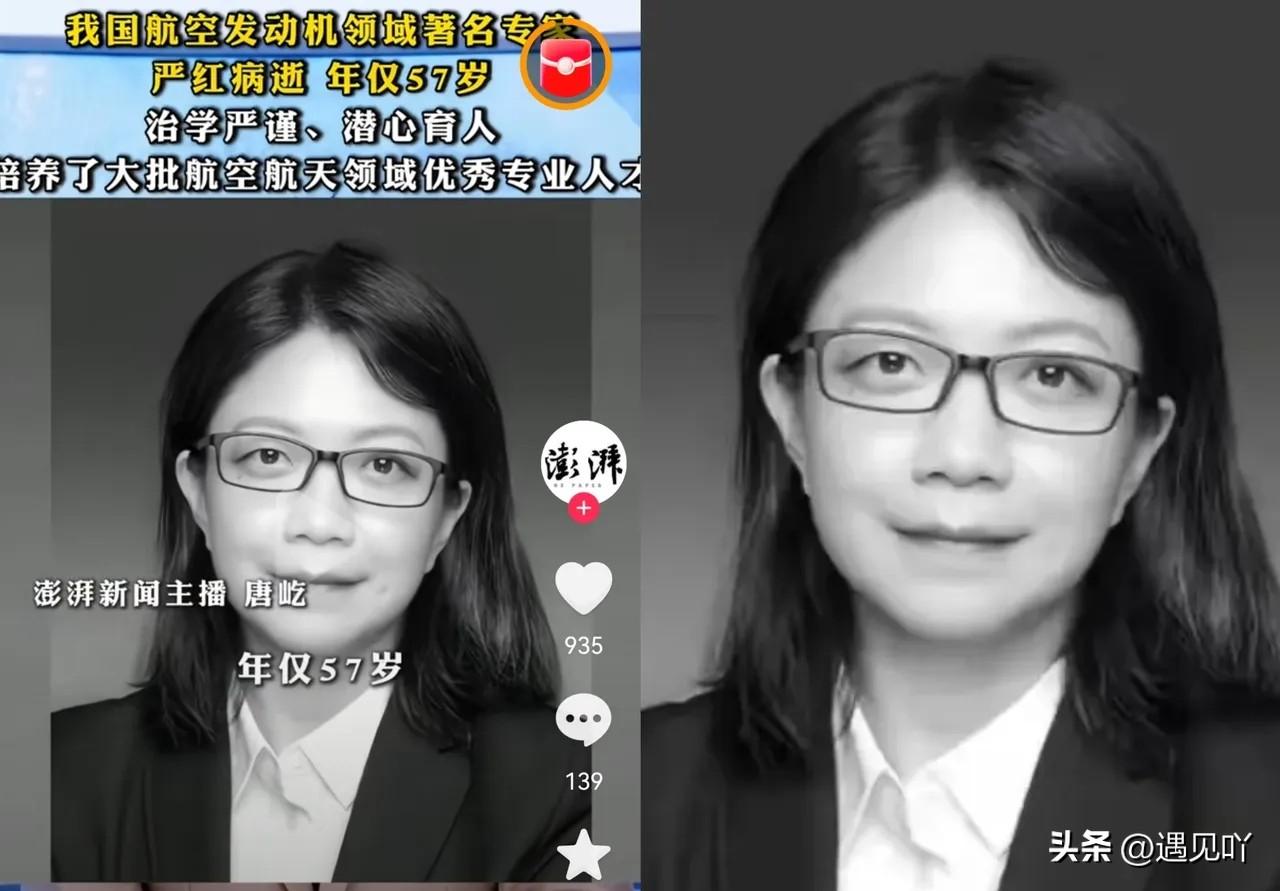 刚刚刷到个消息，心里真不是滋味。西工大的严红教授走了，才57岁。

说实话，要不