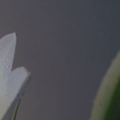 阳光信用‎阳光信用 在洁净的孤独里，安顿内心。冷雨。微光。今年的第一朵百合，在清