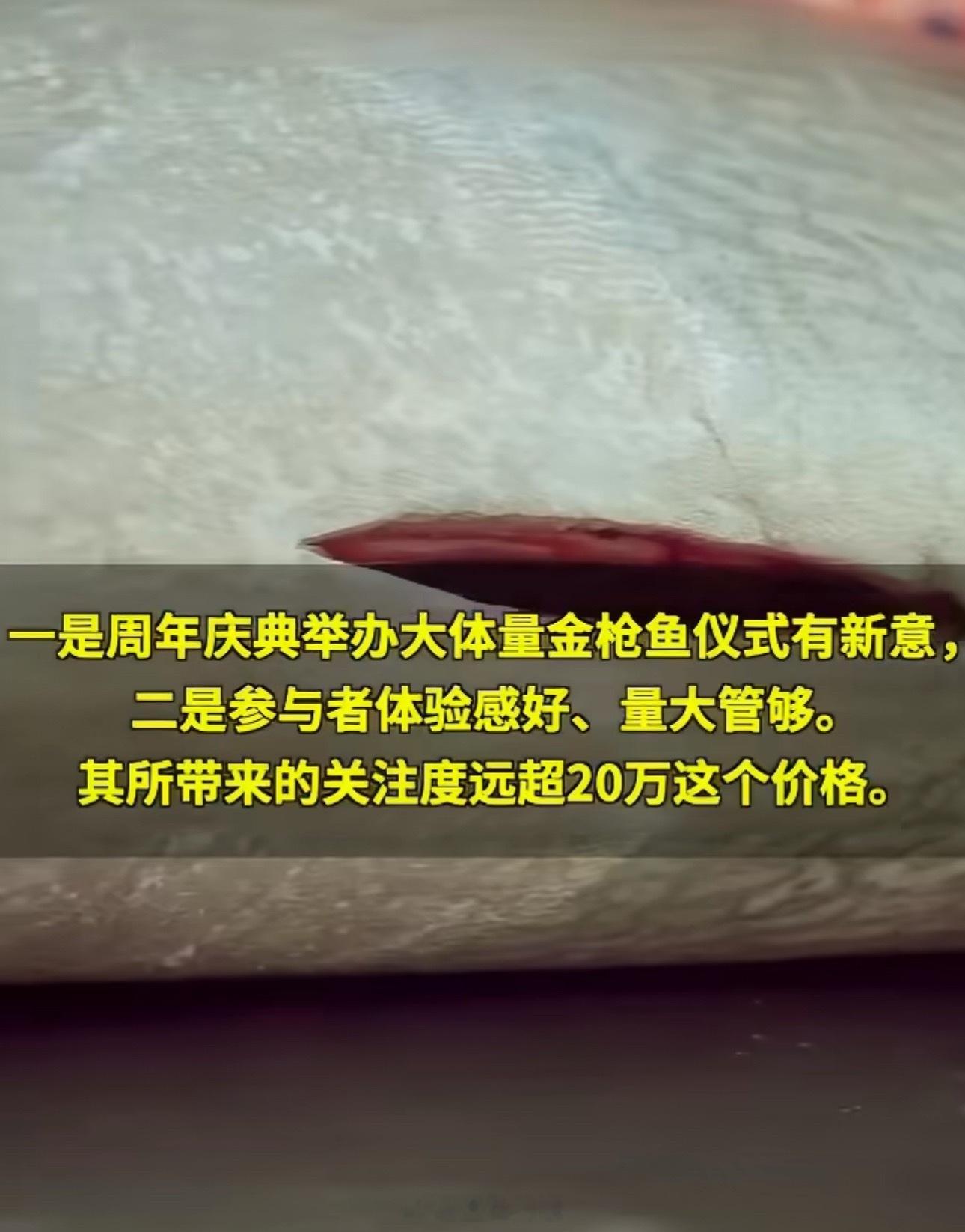 超800斤的金枪鱼被拍出20万20万拍下的不只是800斤金枪鱼，更是一次让员工、