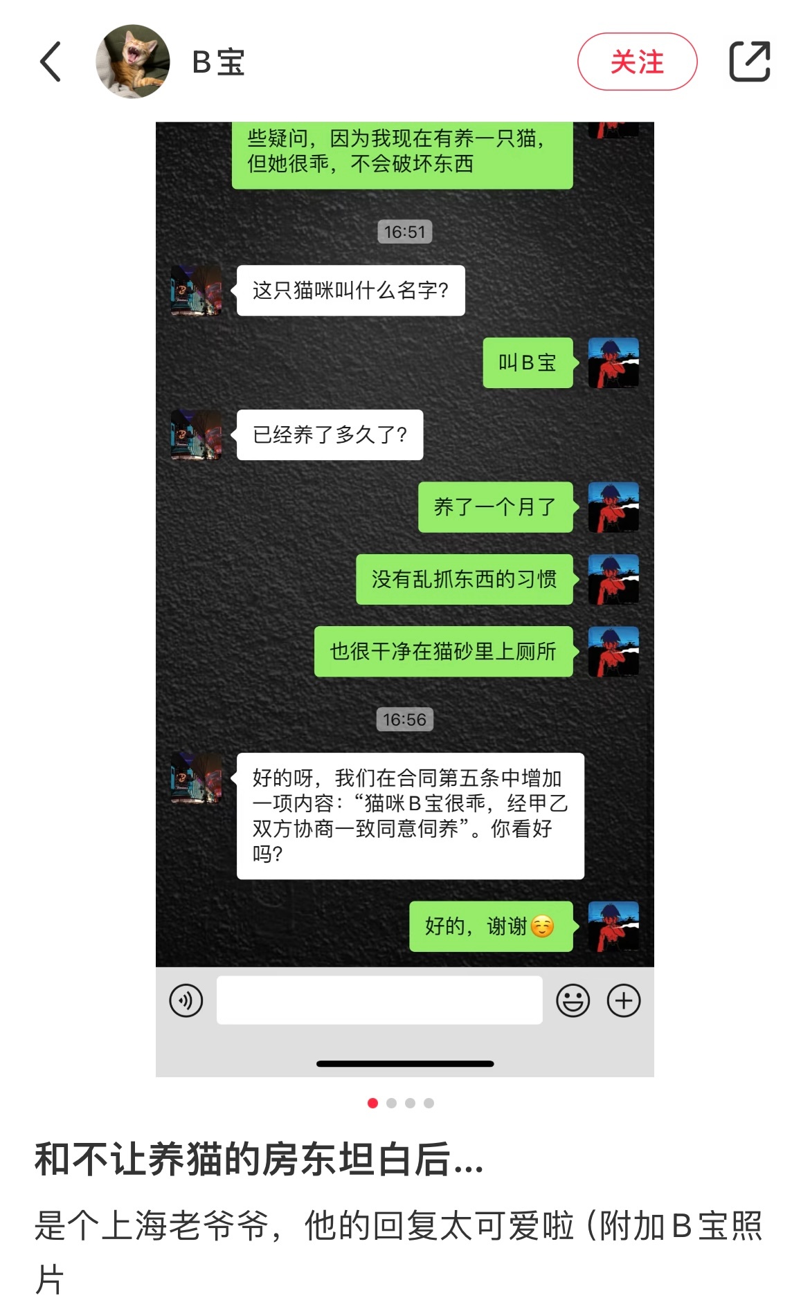 我见过最温柔的新增条款 
