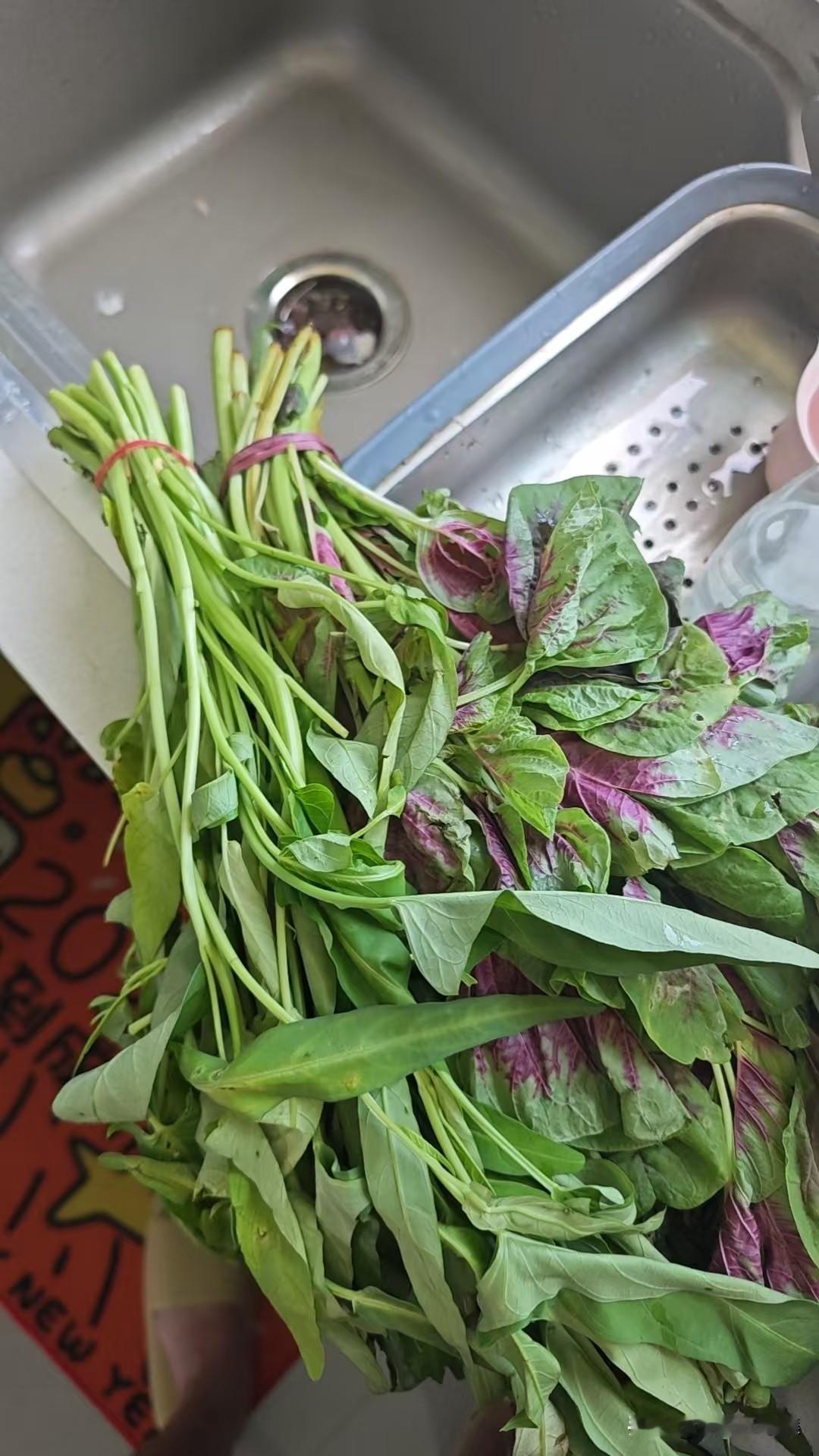 谷贱伤农，当被看见与重视

我有位亲戚住在瀍河的商品房小区，今早赶早市采买，回家