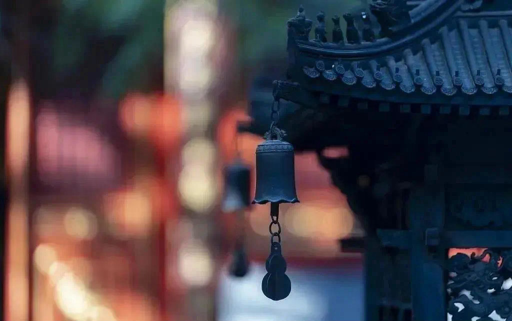 在这个世界上，我们很多人善待的是钱财、名利、财富，我们固然要善待我们的身体，身体