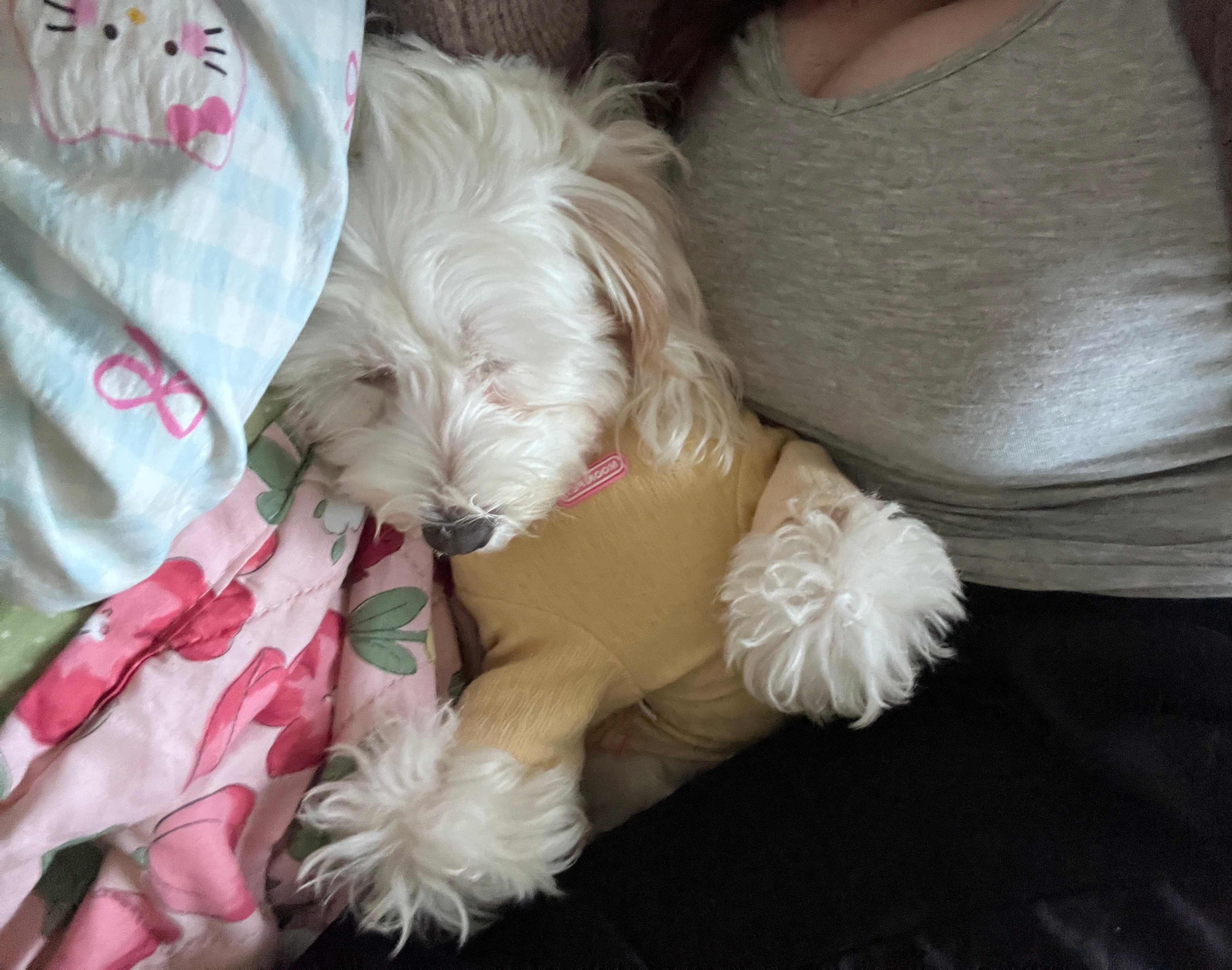 宝宝  要抱抱🤗 ​​​