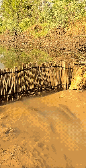 蓄势待发，鲤鱼跃龙门。
试一试，爆发力就可能杠杠滴，不试怎能知道！
2026！学