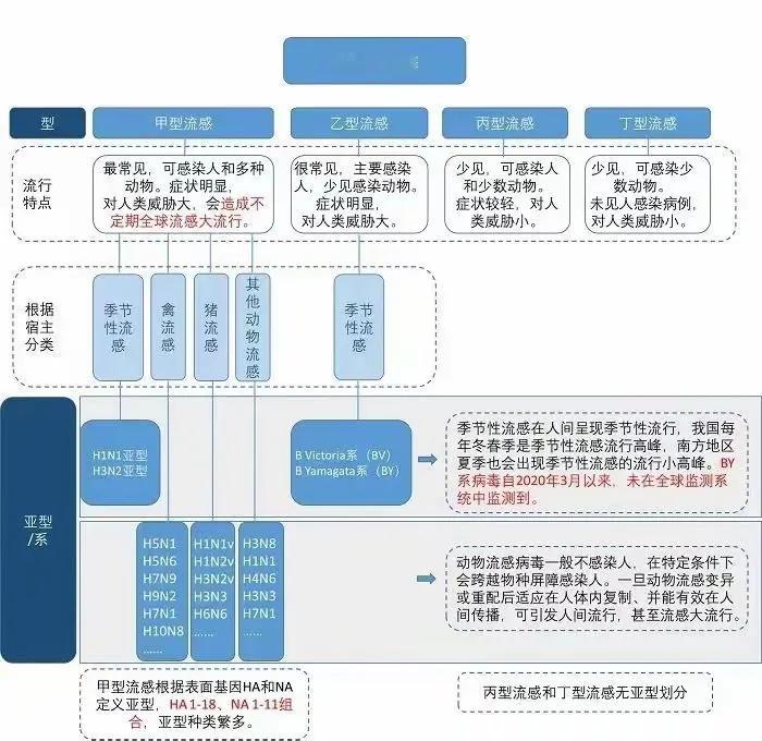 冬季流感类型及甲型流感1—7日典型发病症状！[奋斗][奋斗]