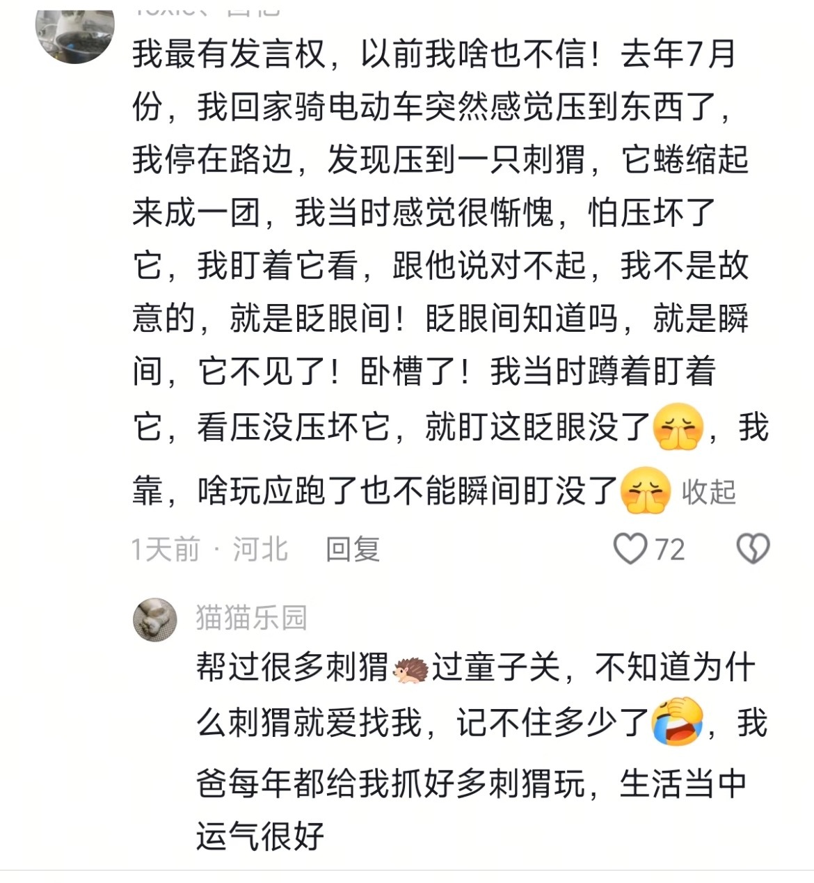 网友分享帮刺猬过车马关的经历，好有趣。 