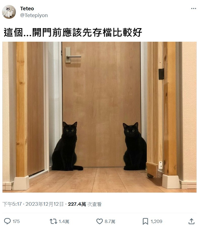 [喵喵] ​​​