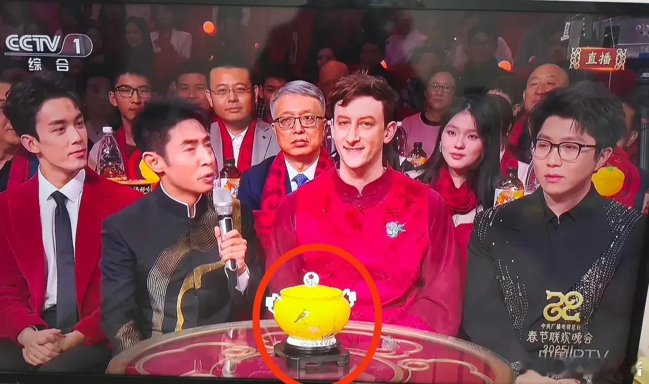 年轻人成蛇年春晚观看主力人群  蛇年春晚95后观众超八成   嘿嘿，蛇年春晚太懂