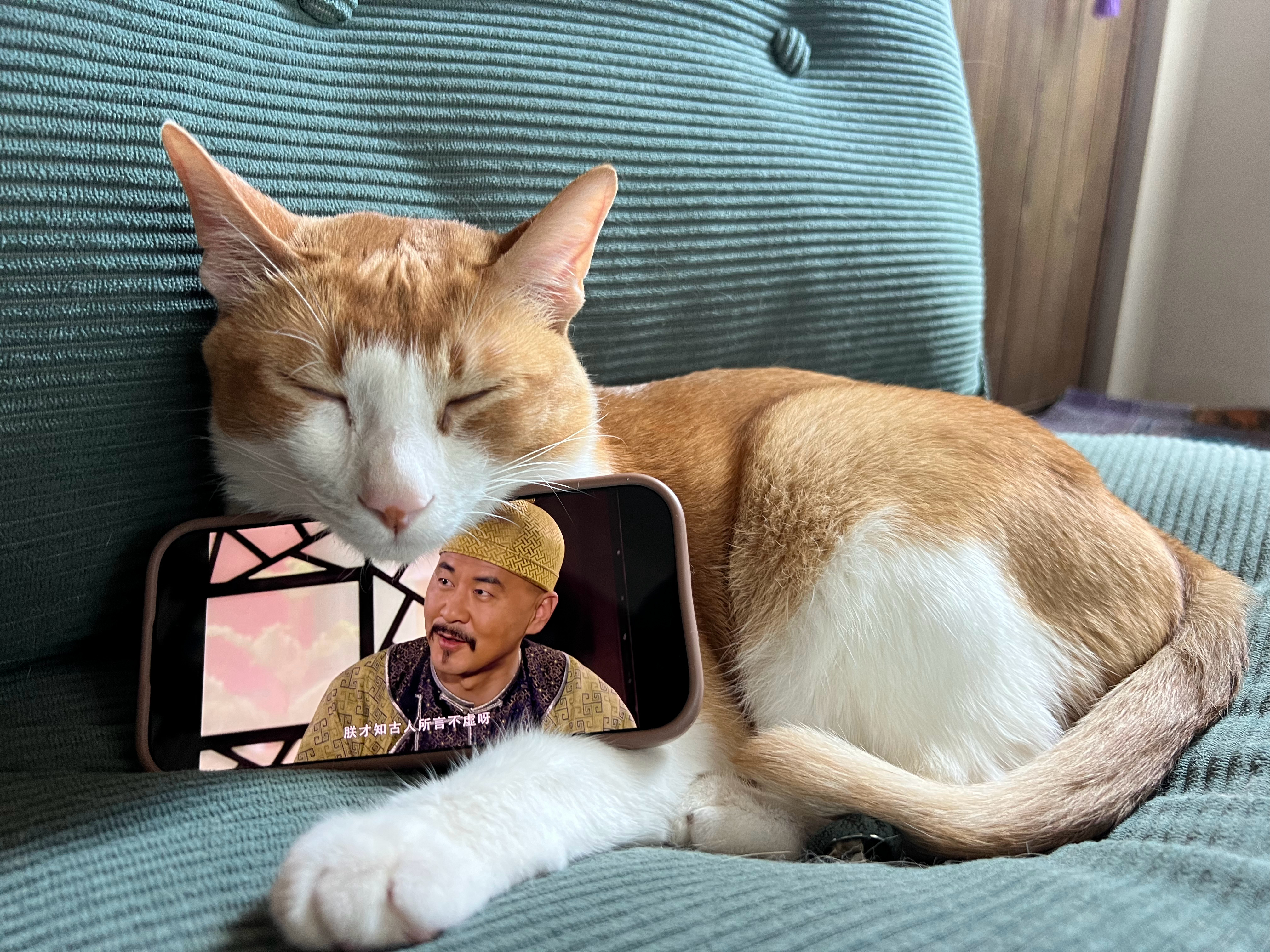 ： 麻了 随便吧 