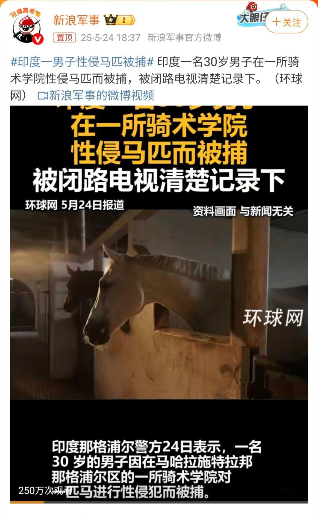 印度一男子性侵马匹被捕 我丢！！！阿三真的是什么事儿都干得出来啊！[二哈] ​​