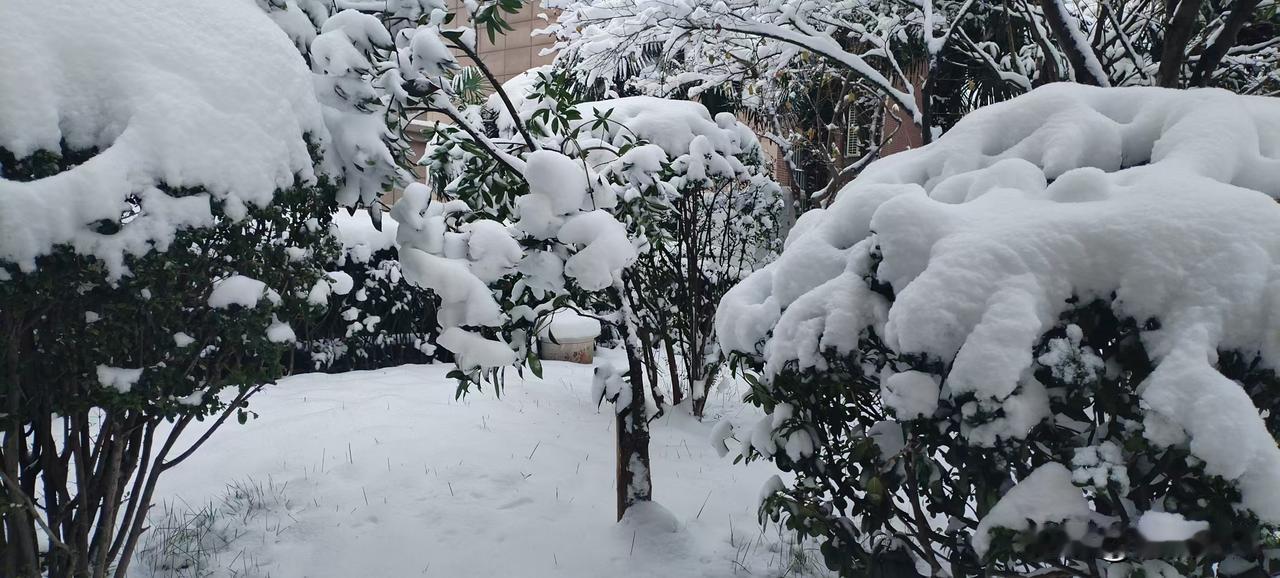 2026年家乡的第一场雪，陕西少华山下

“少华苍苍，渭水泱泱，美哉华州，爱我家